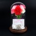 Clear Glass Display Dome with Wooden Base Wedding Decor Flower Vases Glass Domes   372373720764